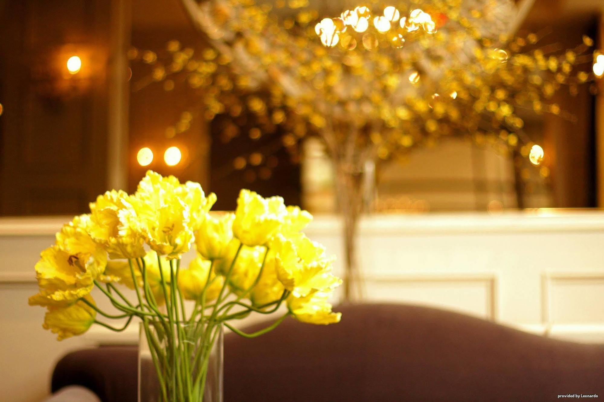 Hotel The Roehampton 2*