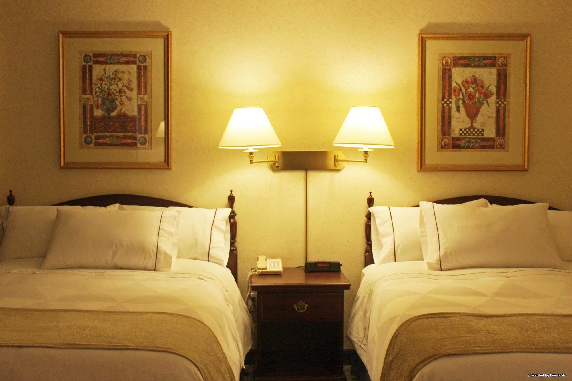 Hotel The Roehampton 2*