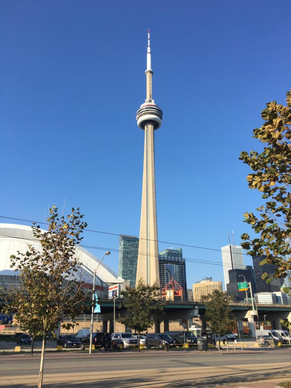 Luxury Fully Furnished Suite In Downtown Toronto - Maple Leaf Square Apartment *