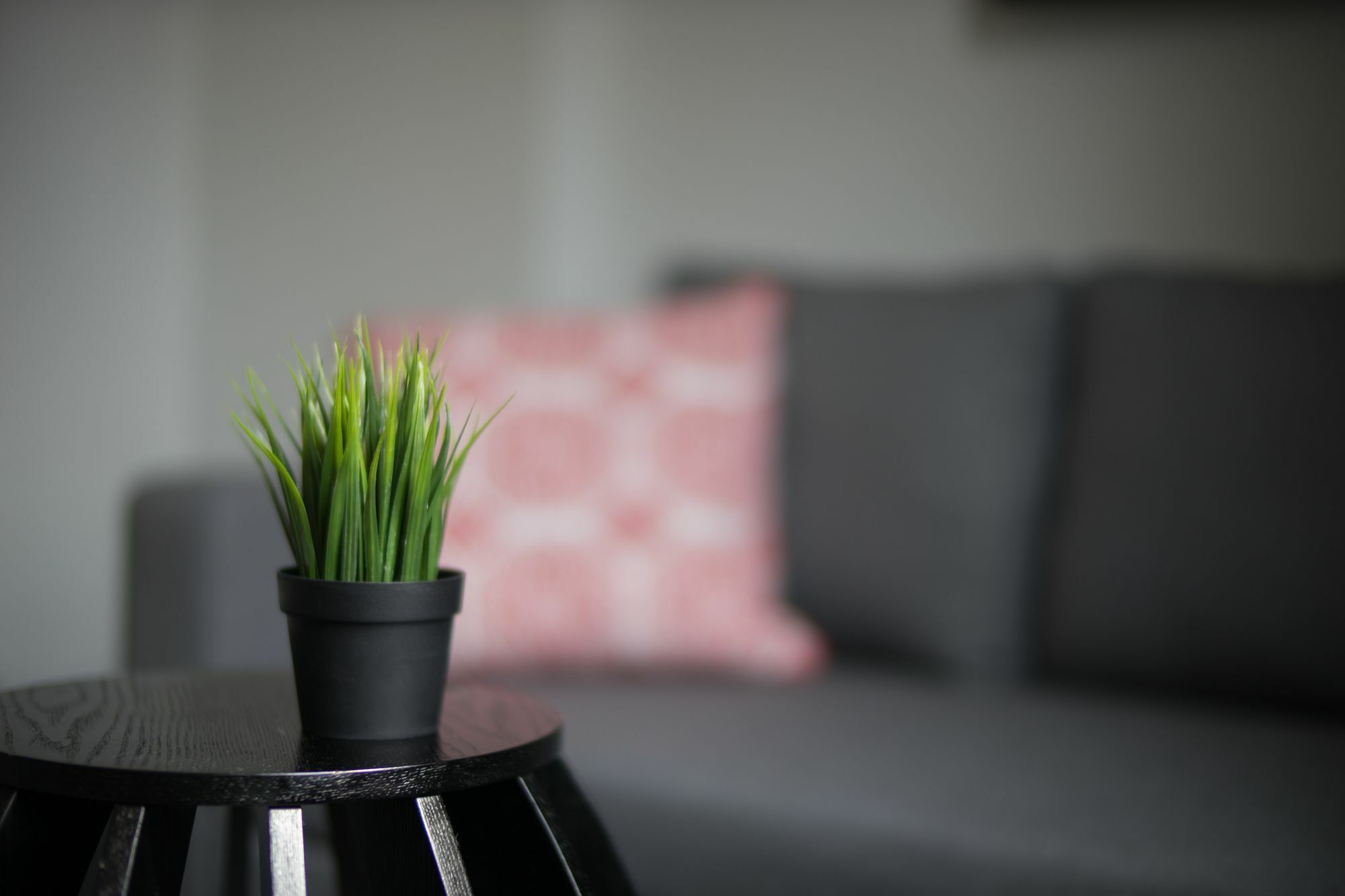 Applewood - Modern Traveller Paradise Loft Apartment *