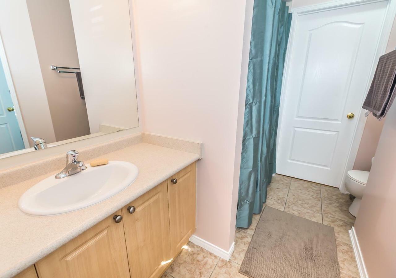 Affordable Guest At York U Guest house *