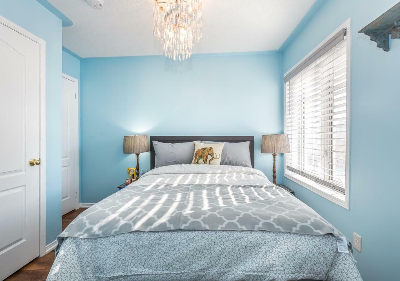 Affordable Guest At York U Guest house *